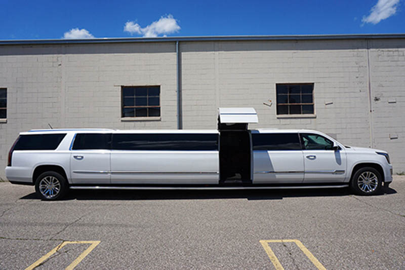 20-passenger stretch limousines