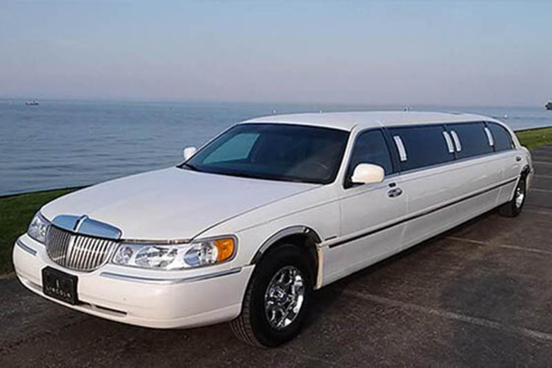 12-passenger limo service